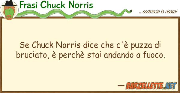 Frasi Chuck Norris chuck norris dice c'è puzza b