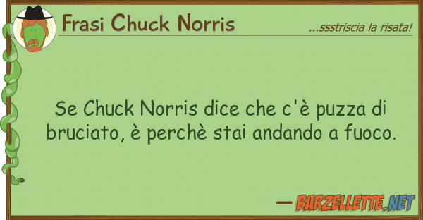 Frasi Chuck Norris chuck norris dice c'è puzza b