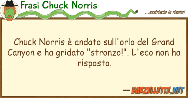 Frasi Chuck Norris chuck norris è andato sull'orlo gra