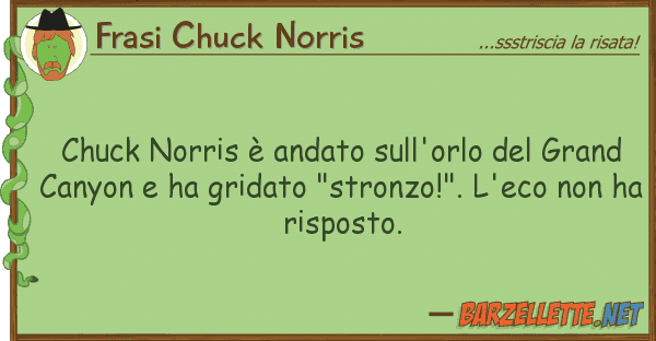 Frasi Chuck Norris chuck norris è andato sull'orlo gra