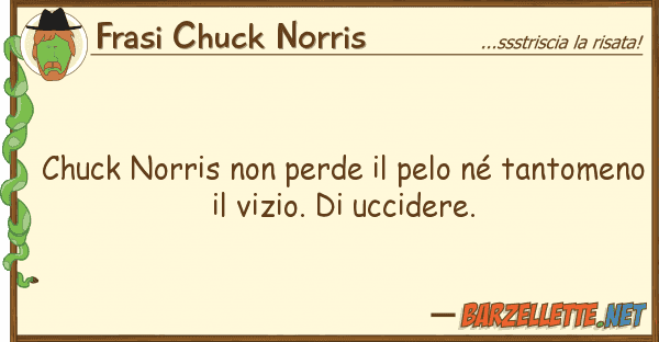 Frasi Chuck Norris chuck norris perde pelo né tanto