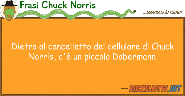 Frasi Chuck Norris dietro cancelletto cellulare