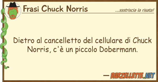 Frasi Chuck Norris dietro cancelletto cellulare