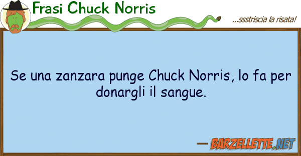 Frasi Chuck Norris zanzara punge chuck norris, fa