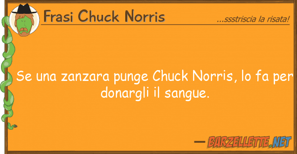 Frasi Chuck Norris zanzara punge chuck norris, fa