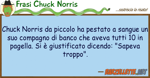 Frasi Chuck Norris chuck norris piccolo ha pestato san