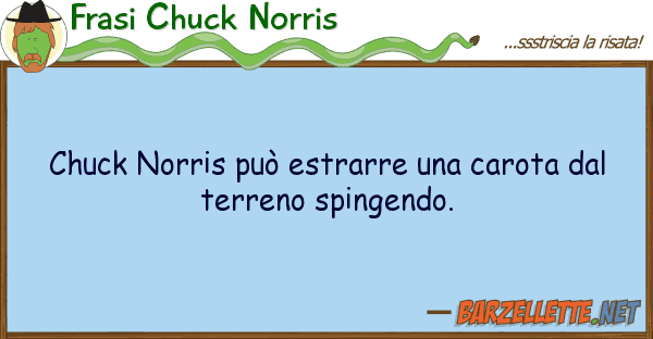 Frasi Chuck Norris chuck norris può estrarre carota