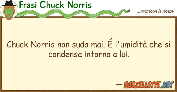Frasi Chuck Norris chuck norris suda mai. é l'umidità