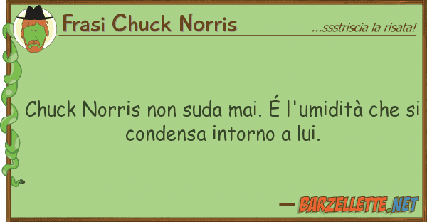 Frasi Chuck Norris chuck norris suda mai. é l'umidità