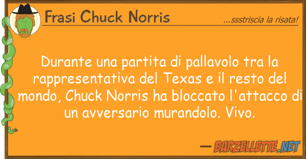 Frasi Chuck Norris durante partita pallavolo