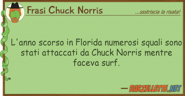 Frasi Chuck Norris l'anno scorso florida numerosi squali
