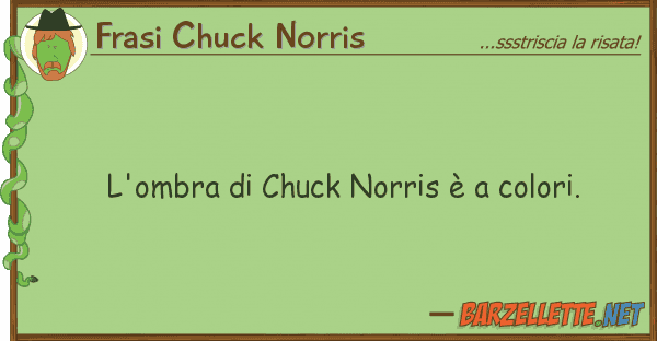 Frasi Chuck Norris l'ombra chuck norris è colori.
