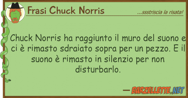 Frasi Chuck Norris chuck norris ha raggiunto muro