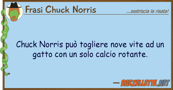Frasi Chuck Norris chuck norris può togliere nove vite