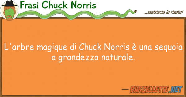 Frasi Chuck Norris l'arbre magique chuck norris è s