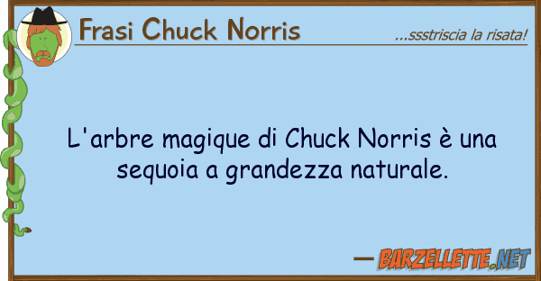 Frasi Chuck Norris l'arbre magique chuck norris è s