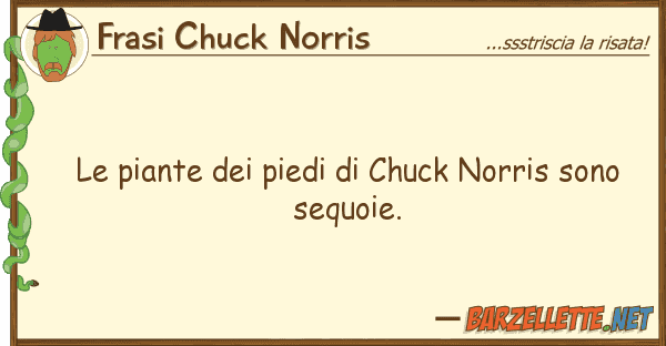 Frasi Chuck Norris piante piedi chuck norris sono
