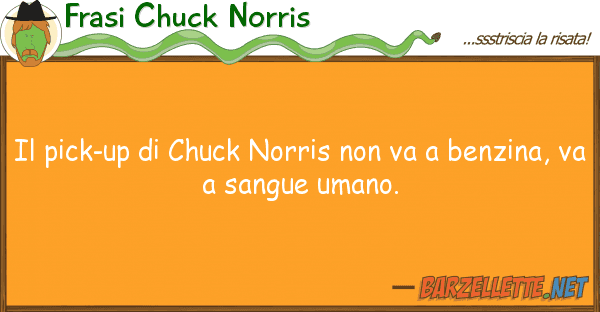 Frasi Chuck Norris pick-up chuck norris va benz