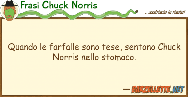 Frasi Chuck Norris quando farfalle sono tese, sentono ch