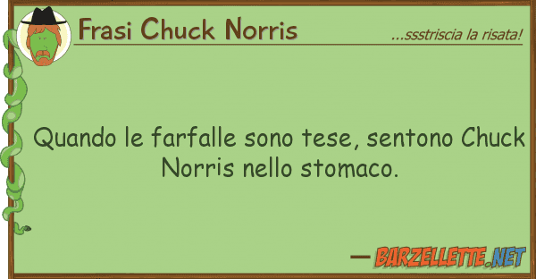 Frasi Chuck Norris quando farfalle sono tese, sentono ch