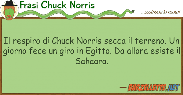 Frasi Chuck Norris respiro chuck norris secca terr