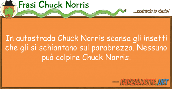 Frasi Chuck Norris autostrada chuck norris scansa