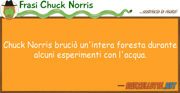 Frasi Chuck Norris chuck norris bruciò un'intera foresta d