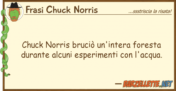 Frasi Chuck Norris chuck norris bruciò un'intera foresta d