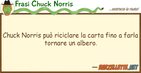Frasi Chuck Norris chuck norris può riciclare carta fin