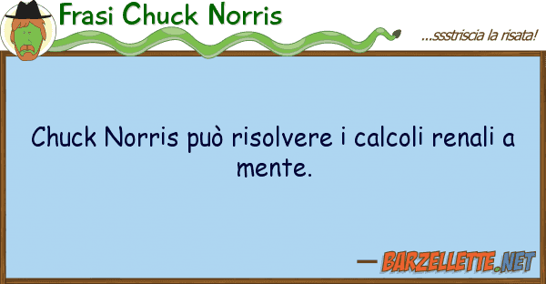 Frasi Chuck Norris chuck norris può risolvere calcoli re