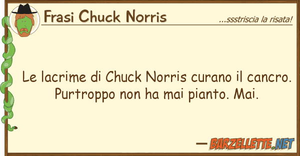 Frasi Chuck Norris lacrime chuck norris curano can