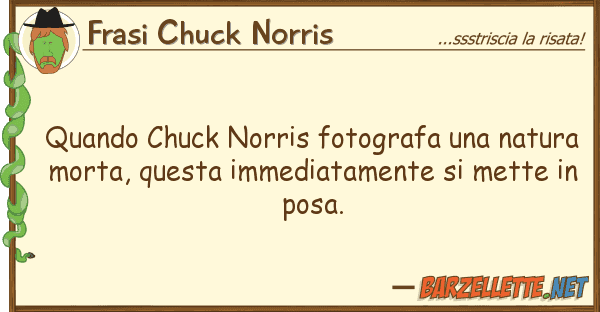 Frasi Chuck Norris quando chuck norris fotografa natura