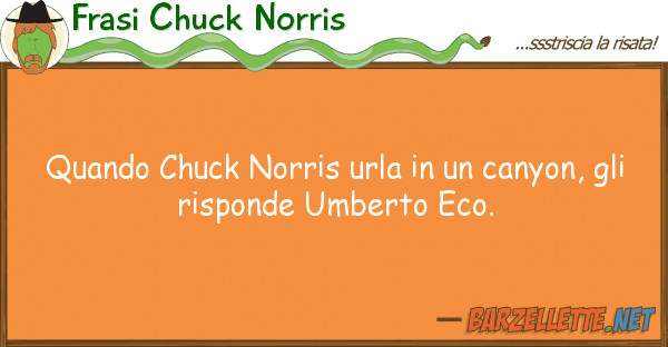 Frasi Chuck Norris quando chuck norris urla canyon, g