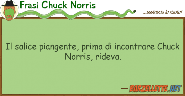 Frasi Chuck Norris salice piangente, prima incontrare