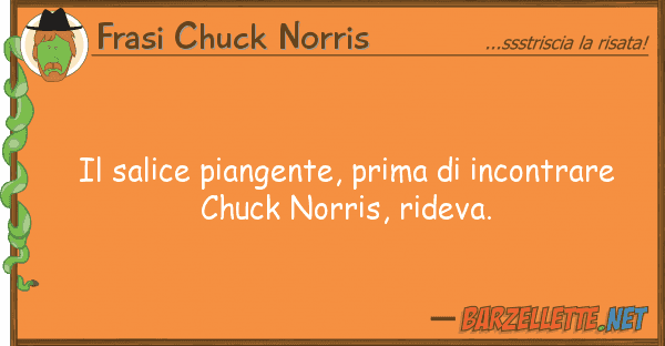 Frasi Chuck Norris salice piangente, prima incontrare