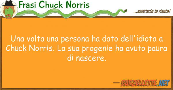 Frasi Chuck Norris volta persona ha dato dell'idiot