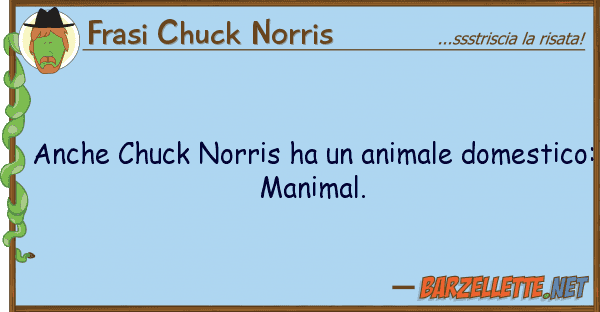 Frasi Chuck Norris chuck norris ha animale domesti