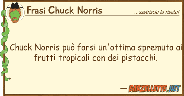 Frasi Chuck Norris chuck norris può farsi un'ottima spremu