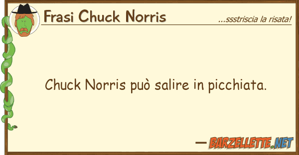 Frasi Chuck Norris chuck norris può salire picchiata.
