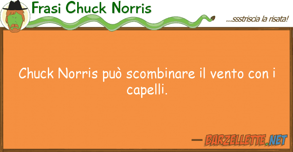 Frasi Chuck Norris chuck norris può scombinare vento co