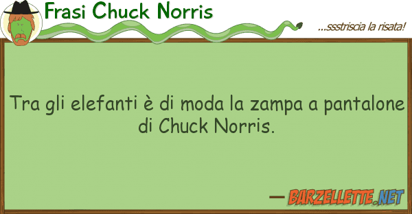 Frasi Chuck Norris elefanti è moda zampa p