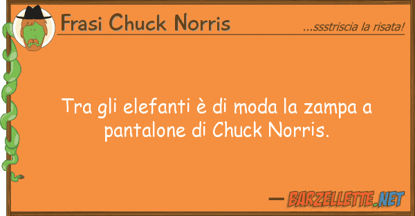 Frasi Chuck Norris elefanti è moda zampa p
