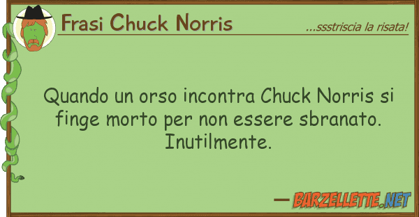 Frasi Chuck Norris quando orso incontra chuck norris