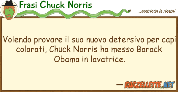 Frasi Chuck Norris volendo provare nuovo detersivo p