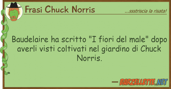 Frasi Chuck Norris baudelaire ha scritto "i fiori male"