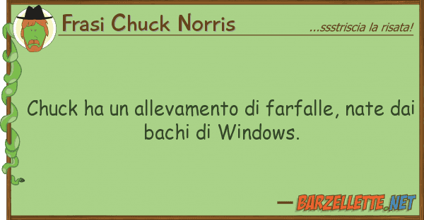 Frasi Chuck Norris chuck ha allevamento farfalle, nat