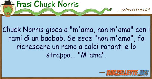Frasi Chuck Norris chuck norris gioca "m'ama, m'ama"