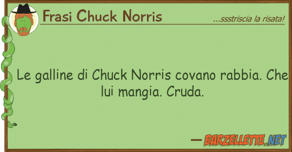 Frasi Chuck Norris galline chuck norris covano rabbia