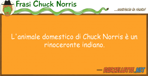 Frasi Chuck Norris l'animale domestico chuck norris è u