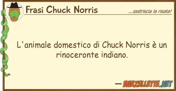 Frasi Chuck Norris l'animale domestico chuck norris è u